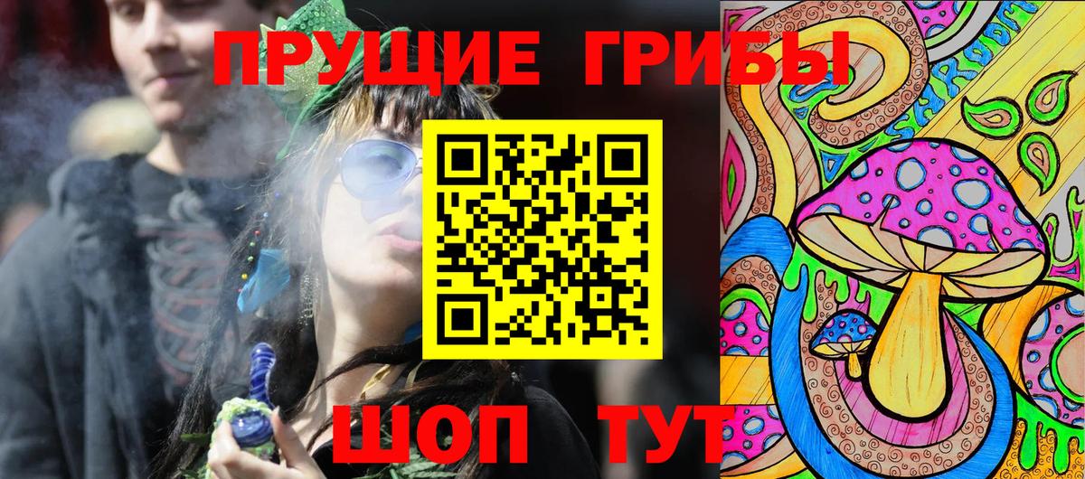 Псилоцибиновые грибы Magic Shrooms  Вход с VPN  Красноперекопск  сколько стоит  Псилоцибиновые грибы мицелий 