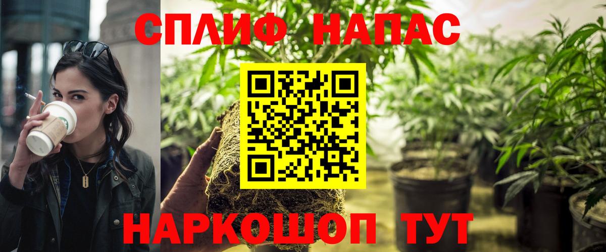 Бошки Шишки MAZAR  Вход с VPN  Красноперекопск  Каннабис White Widow  Бошки Шишки план  Конопля ГИДРОПОН 